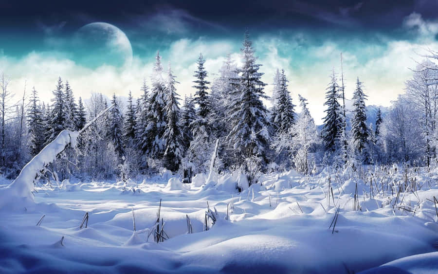 Enjoy And Embrace The Natural Beauty Of The Best Winter Ever Wallpaper