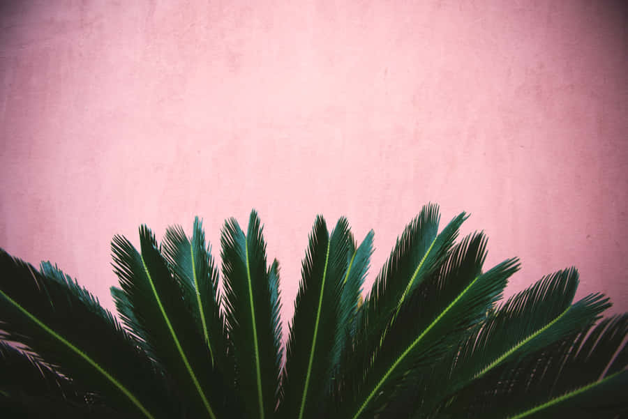 Enjoy Computing With A Boho-inspired Design Wallpaper