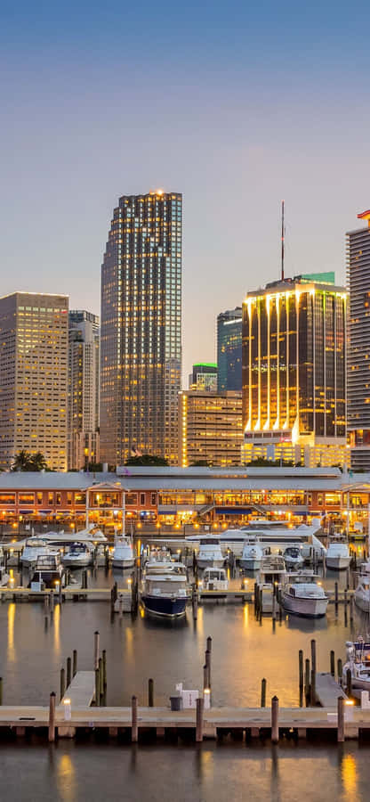 Enjoy Miami Living With The New Iphone Wallpaper