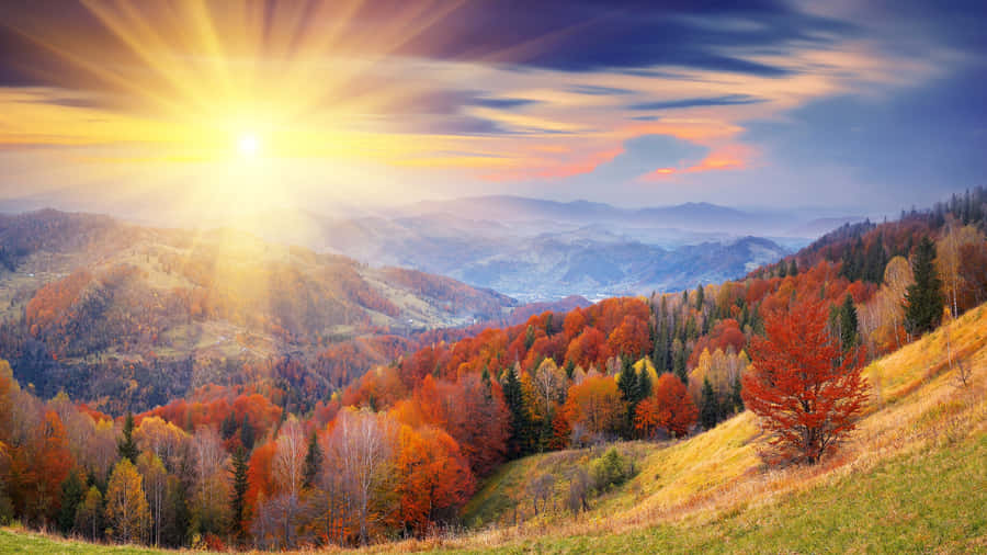 Enjoy The Beauty Of Autumn In This Stunning 4k Wallpaper Wallpaper