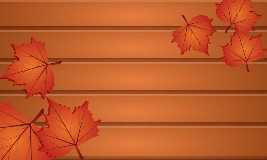 Enjoy The Beauty Of Nature This Autumn Season Wallpaper