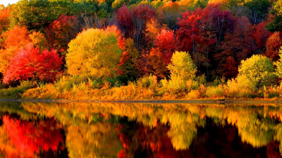 Enjoy The Beauty Of New England During Fall Season Wallpaper