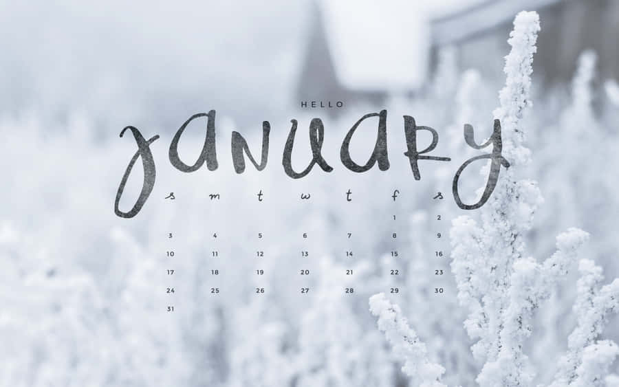 Enjoy The Cute Joys Of January! Wallpaper