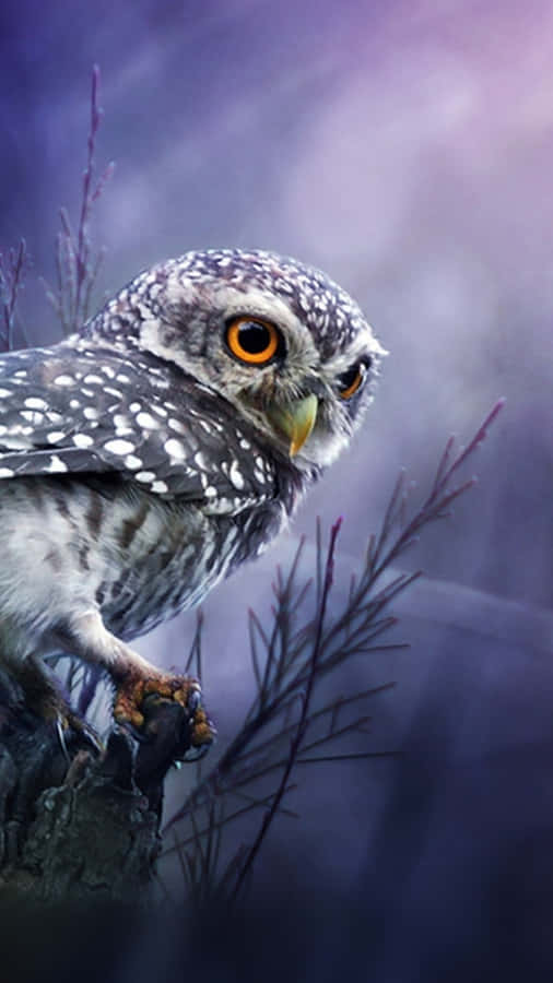 Enjoy The Innovative Features Of The Owl Phone! Wallpaper
