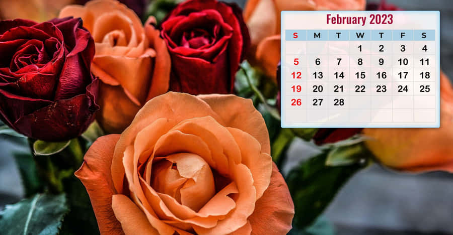 Enjoy The Month Of February With This February Calendar Wallpaper