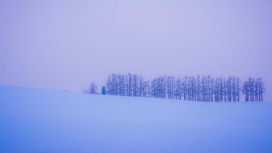 Enjoy The Simple Beauty Of A Minimalist Winter Wallpaper