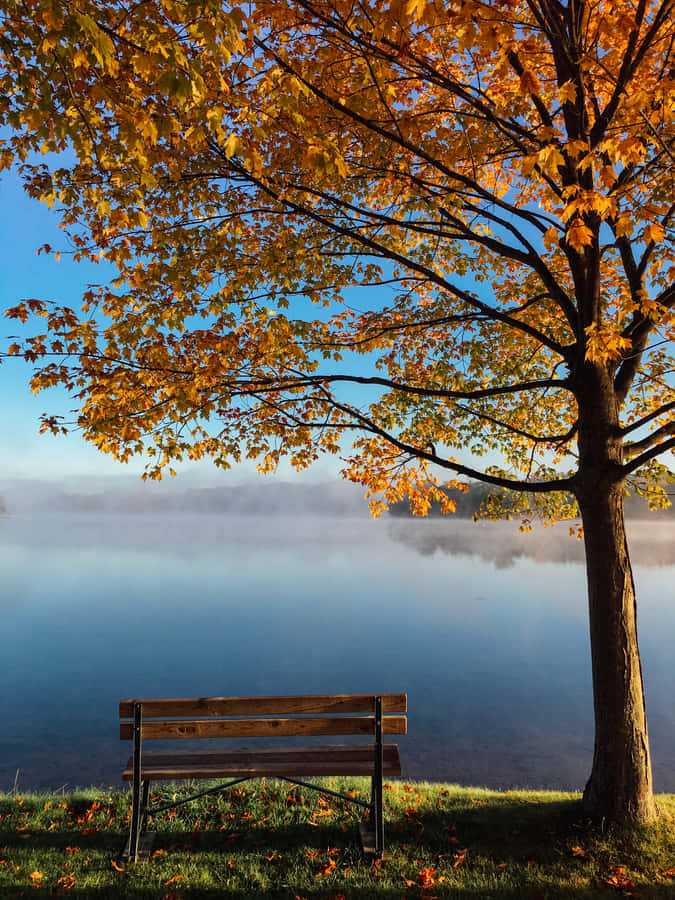 Enjoy The Splendor Of New England Fall Wallpaper