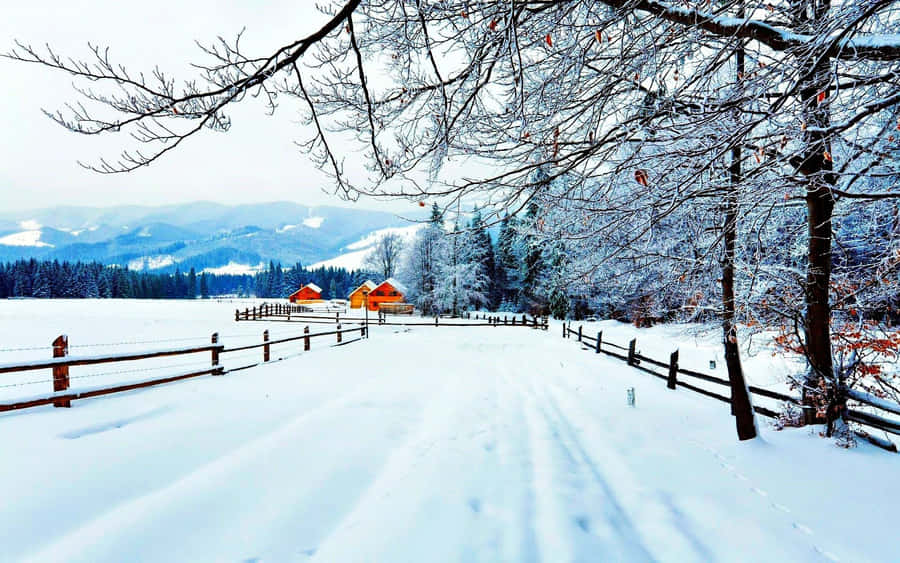 Enjoy The Tranquil Beauty Of A Wintery Landscape Wallpaper