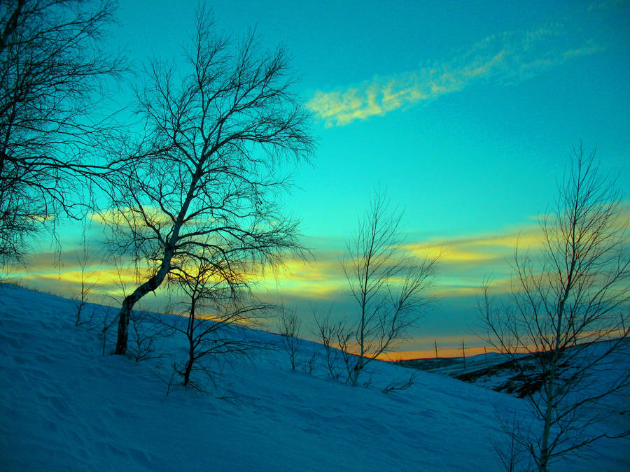 Enjoy The Winter Wonderland Wallpaper