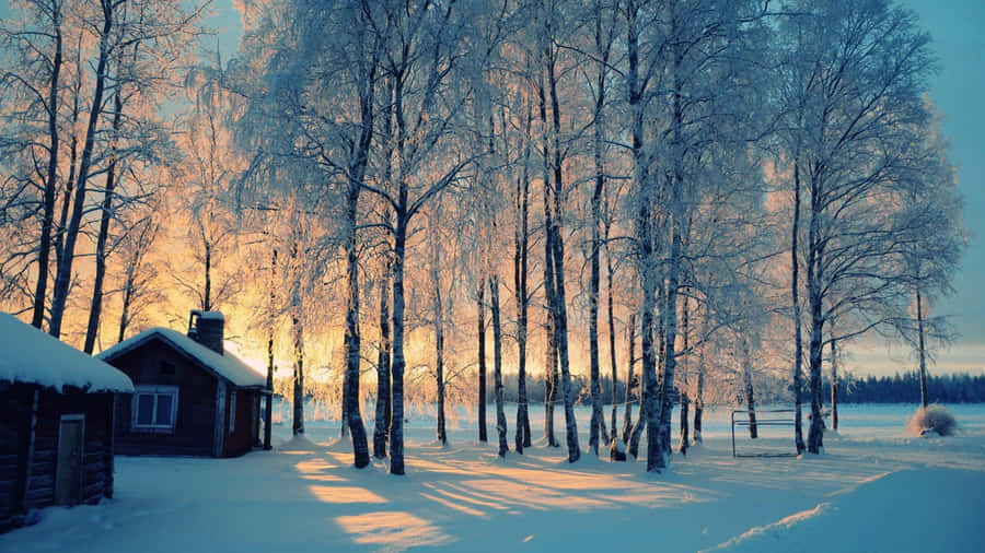 Enjoy The Wonders Of Winter Wallpaper