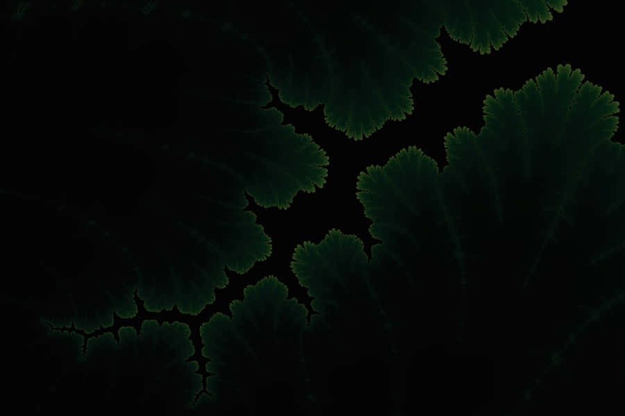 Enjoy True Colors With The Latest In-display Amoled Laptop Wallpaper