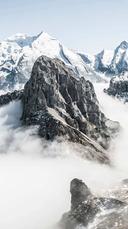 Enjoy Your Best Experience With The Iphone 7 Plus Wallpaper