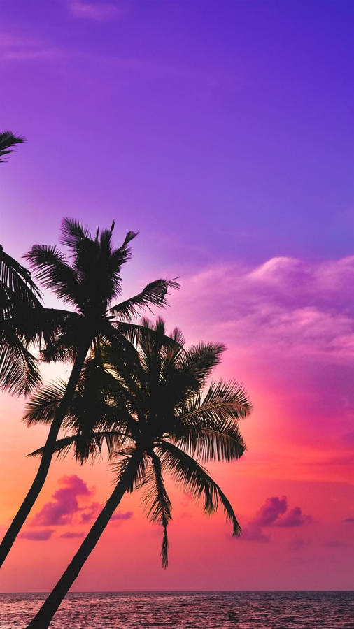 Enjoy Your Best Summer Yet! Wallpaper