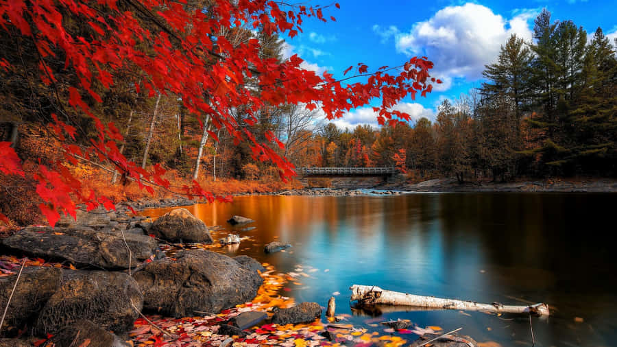 Enjoying A Scenic View Of The Fall Colors. Wallpaper