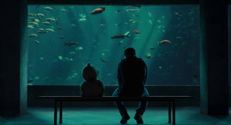 Enjoying The Aquatic Life In The Aquarium Wallpaper