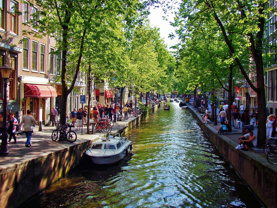 “enjoying The Blooming Beauty Of Amsterdam During Spring” Wallpaper