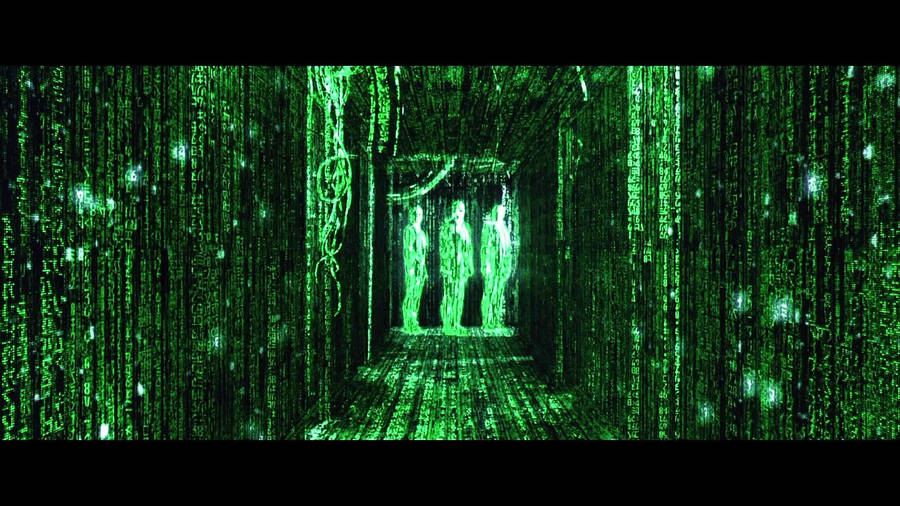 Enter The Green Matrix Wallpaper
