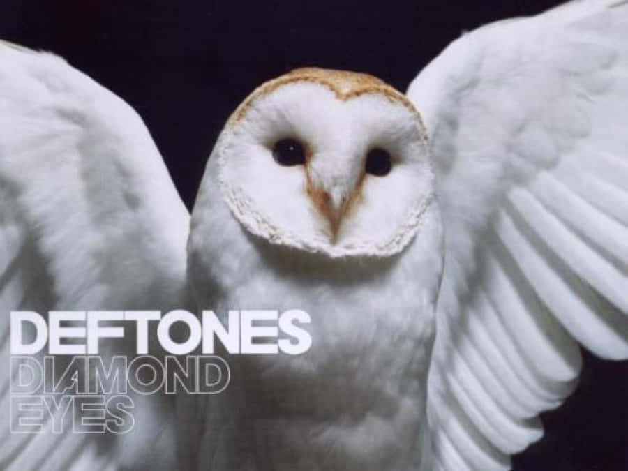 Everyone Can Be A Fan Of Deftones Wallpaper