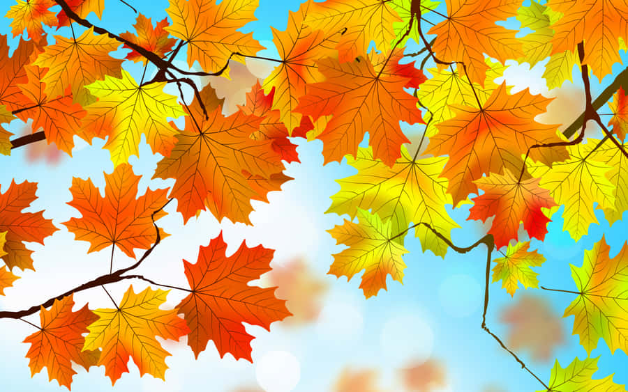 Experience The Aesthetic Beauty Of Autumn Foliage Wallpaper