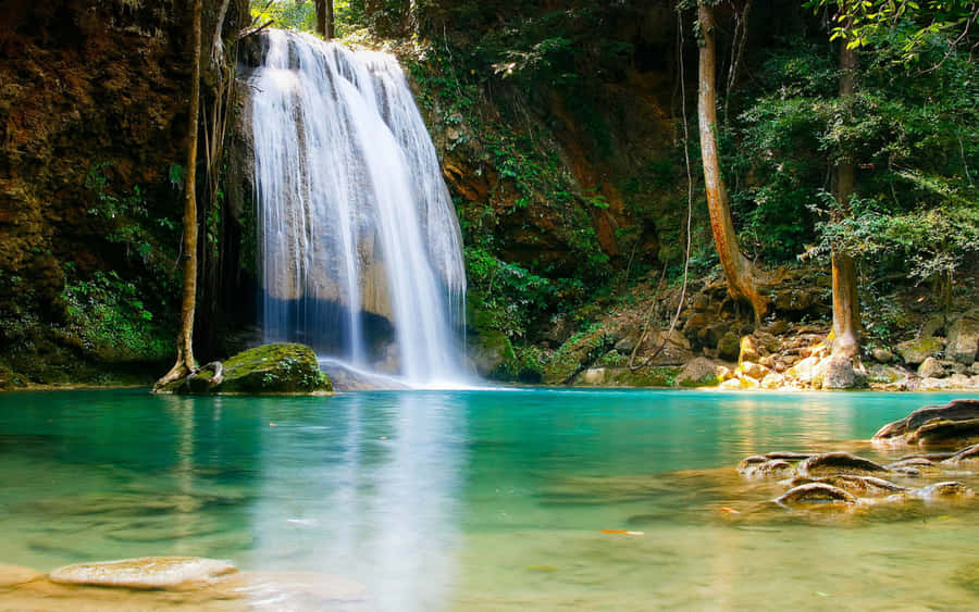 Explore Nature's Tranquil Escape Wallpaper