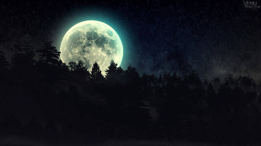 Exploring A Dark Forest Beneath A Full Moon Wallpaper