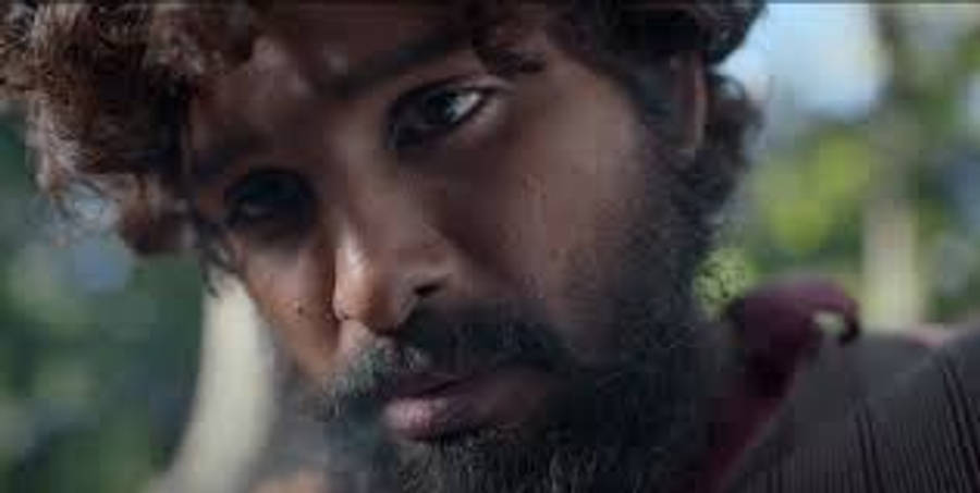 Extreme Closeup Of Puspa Wallpaper