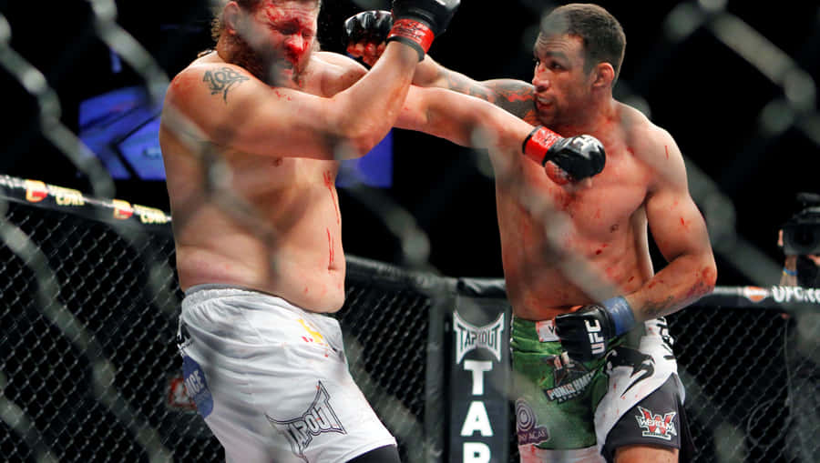 Fabricio Werdum Punching Roy Nelson Wallpaper