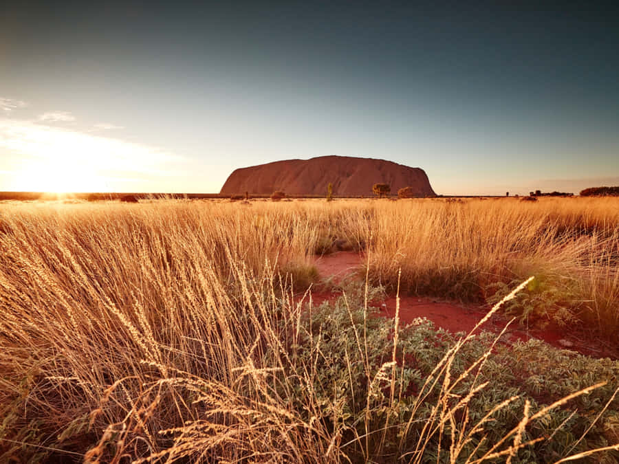 Faded Gray Sky Uluru Wallpaper