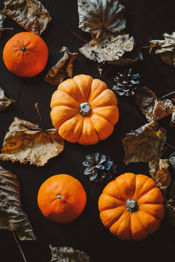 Fall Aesthetic Iphone Leaves And Pumpkins Wallpaper