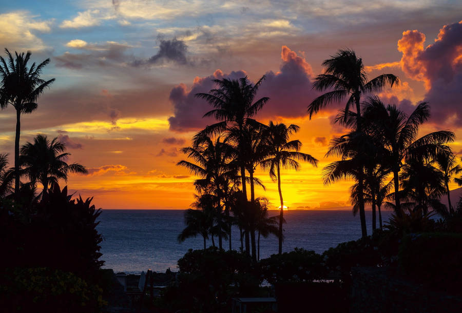 Fantastic Island Sunset Tropical Desktop Wallpaper