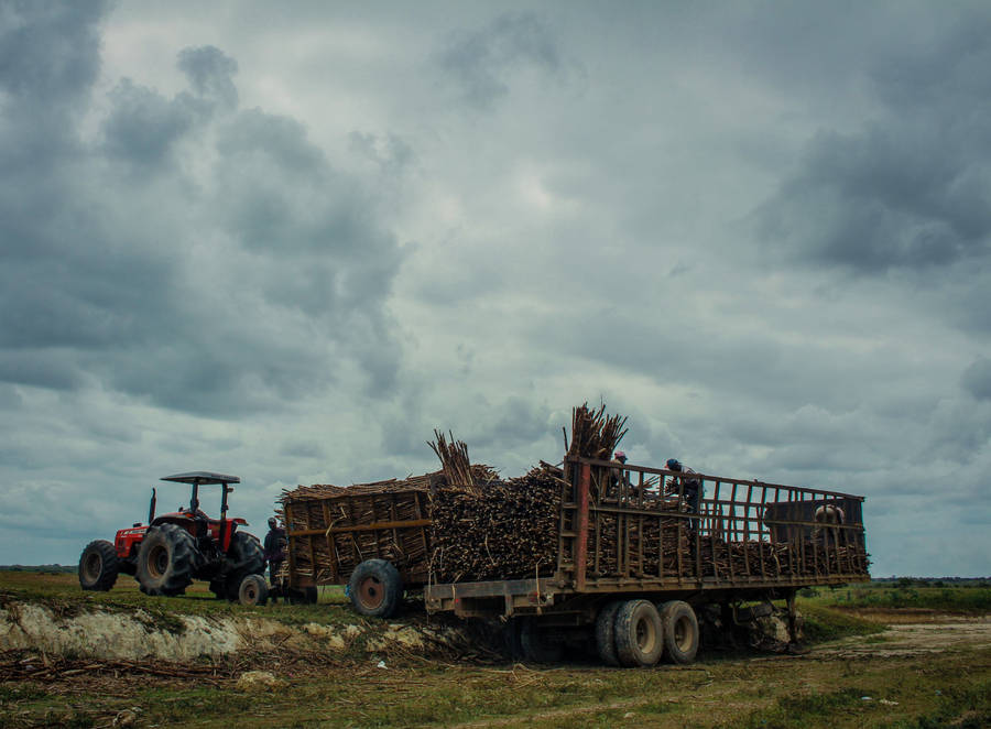 Farmer Rice Tractor Wallpaper