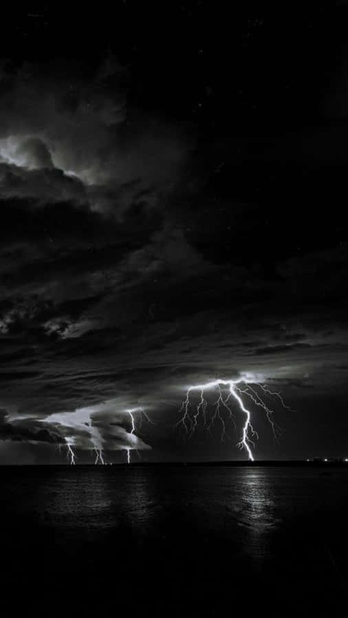 Fearless In The Face Of Nature Wallpaper