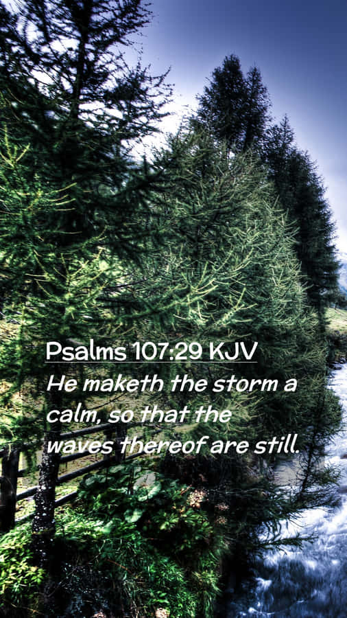 Feel At Ease While Using The Intuitive And Simplistic Design Of Calm Mobile. Wallpaper