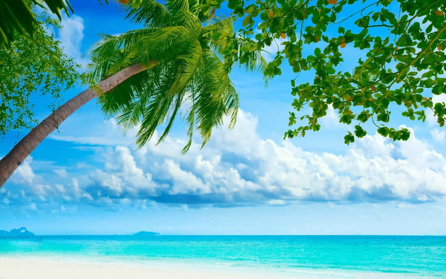Feel Rejuvenated And Immersed In Nature In This Hi Res Beach Paradise. Wallpaper