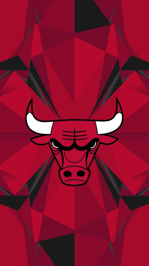 Feel The Pride Of The Chicago Bulls Community Wallpaper