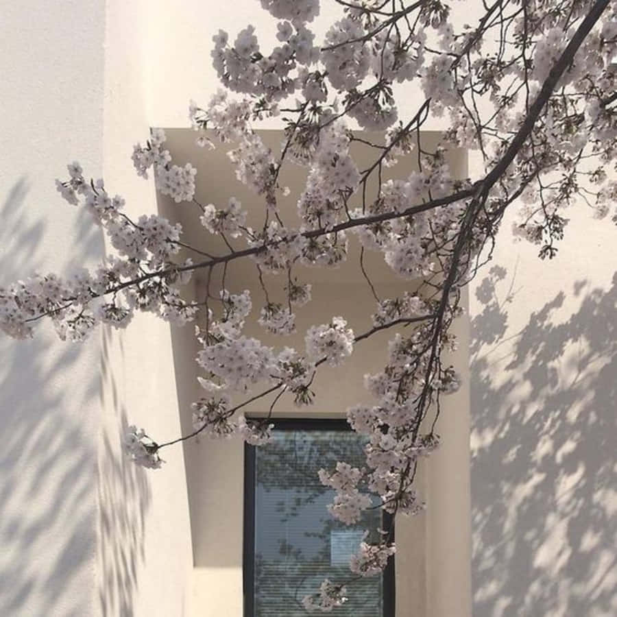 Feel The Purity Of Old Japan With The Japanese White Aesthetic. Wallpaper