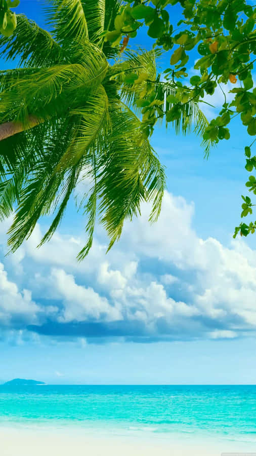 Feel The Warmth Of A Caribbean Beach Wallpaper
