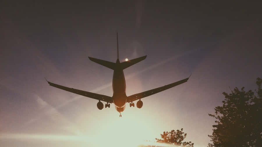 Feeling The Thrill Of The Sky In A Cool Plane Wallpaper