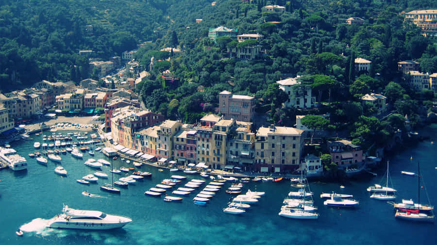 Ferry Terminal Marina Di Portofino In Italy Wallpaper