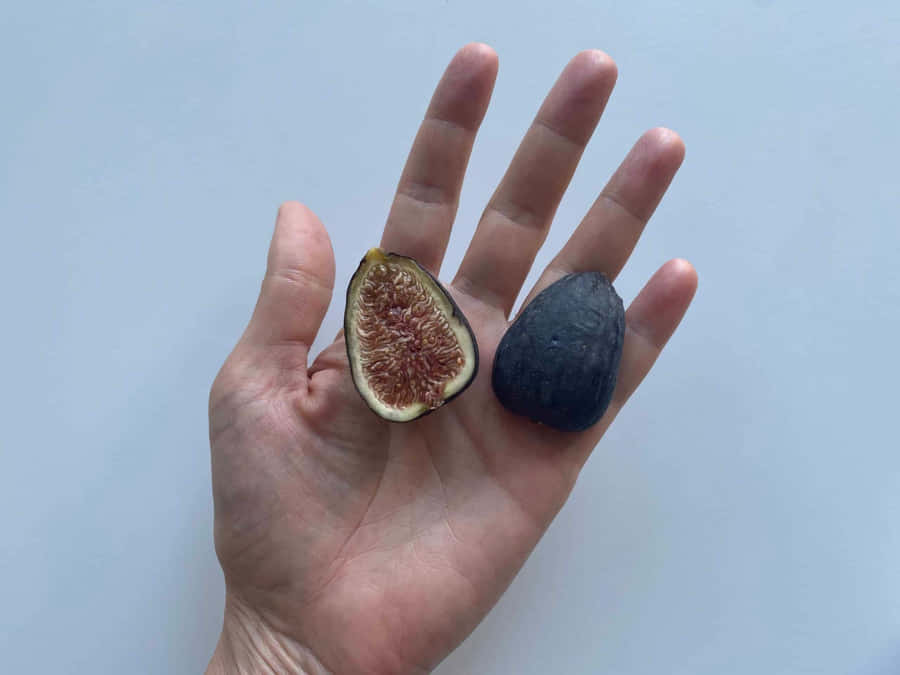 Figand Black Stonein Hand Wallpaper