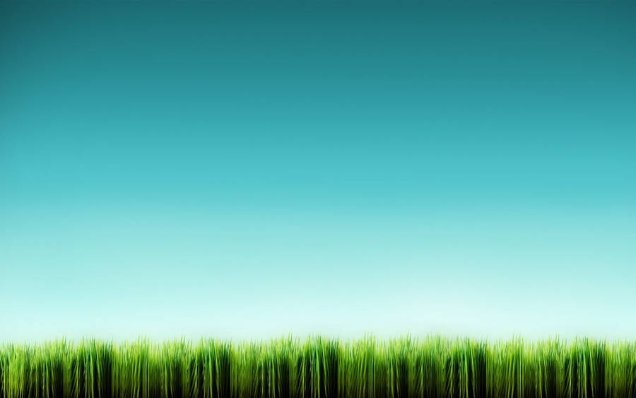 Find Solace In The Tranquil Beauty Of A Grassy Meadow. Wallpaper