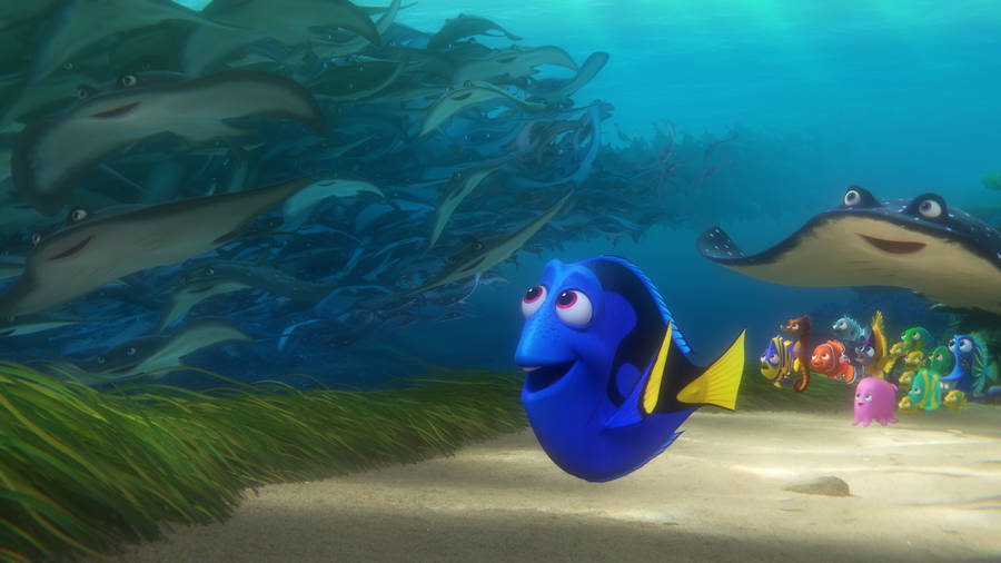 Finding Dory Sees Stingrays Wallpaper