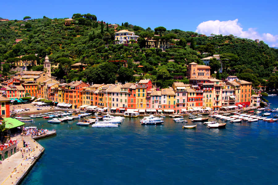 Fishing Village In Portofino Italy Aerial Shot Wallpaper