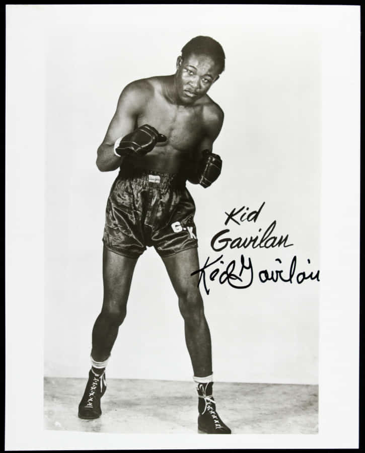 Fixed Signed Kid Gavilan Profile Wallpaper