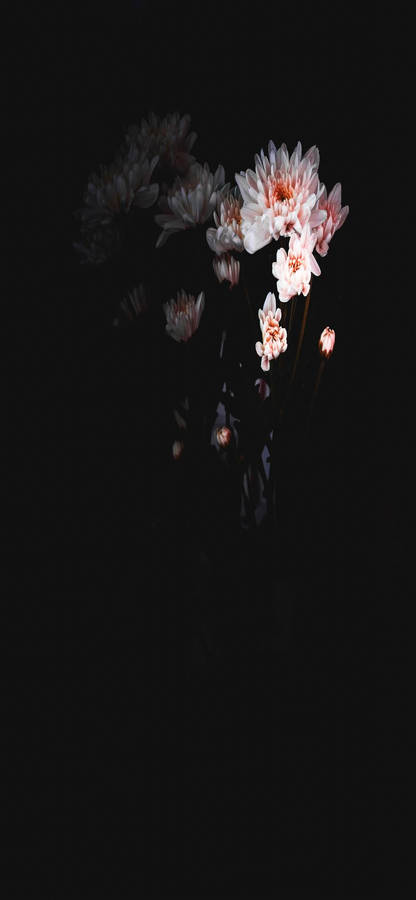 Floating Dark Hd Flowers Phone Wallpaper