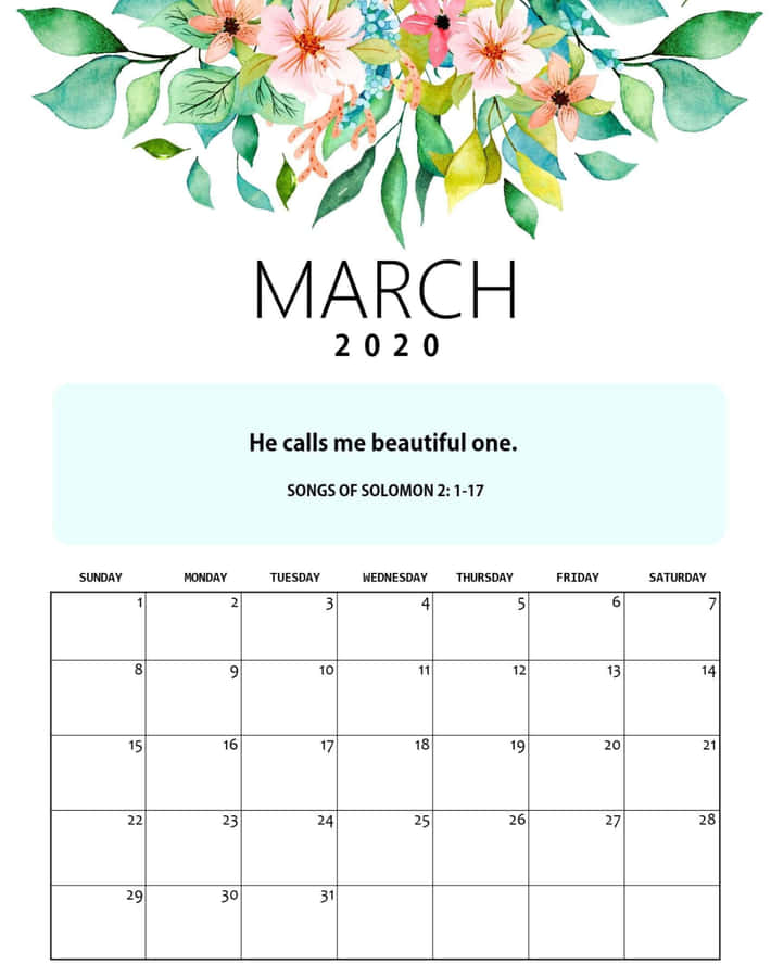 Flower Cute March Wallpaper