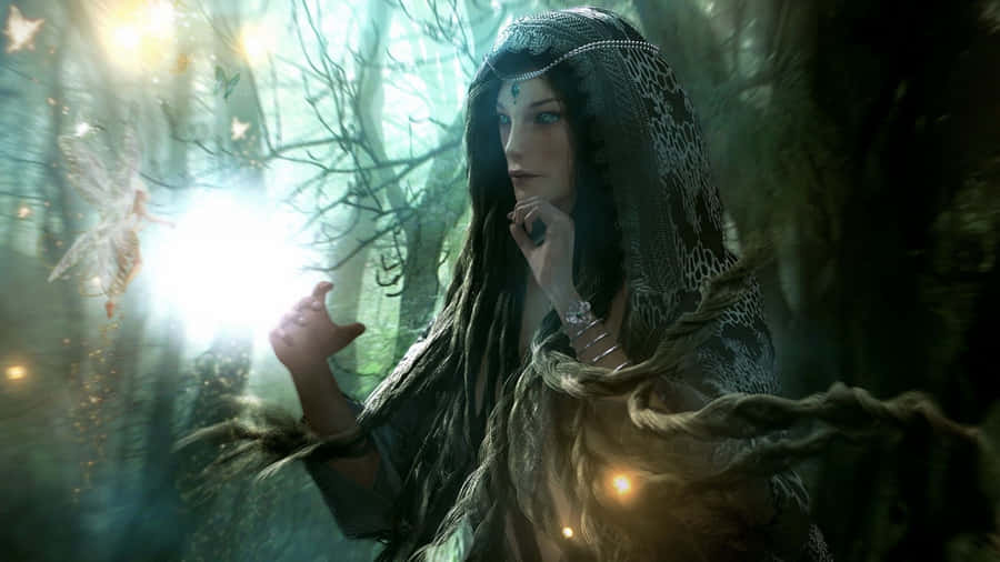 Follow The Path To Discover A Magical Fairy Forest Wallpaper