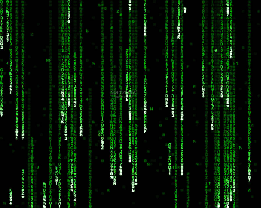 Follow The White Rabbit And Uncover The Secrets Of The Matrix Wallpaper
