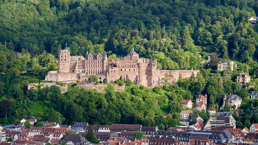 Forest Around Heidelberg Castle Wallpaper
