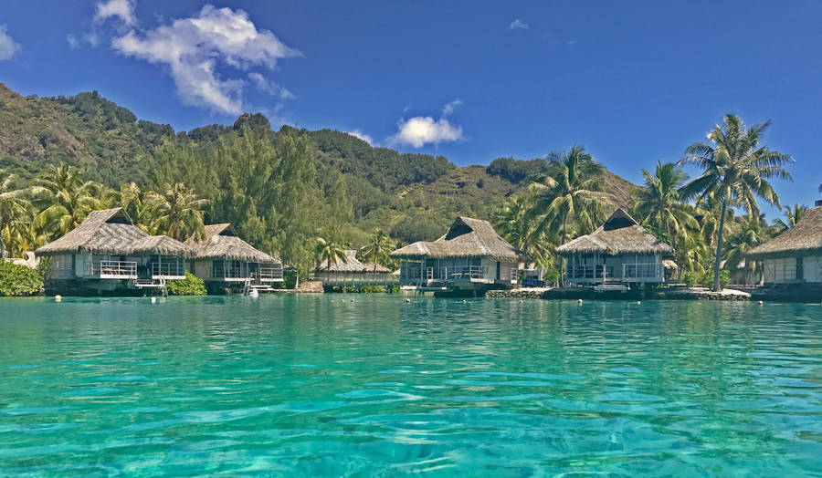 French Polynesia Huts In Shore Wallpaper